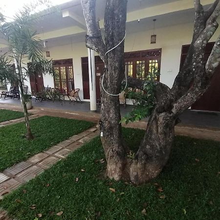 Sigiriya Green Garden Homestay Екстериор снимка