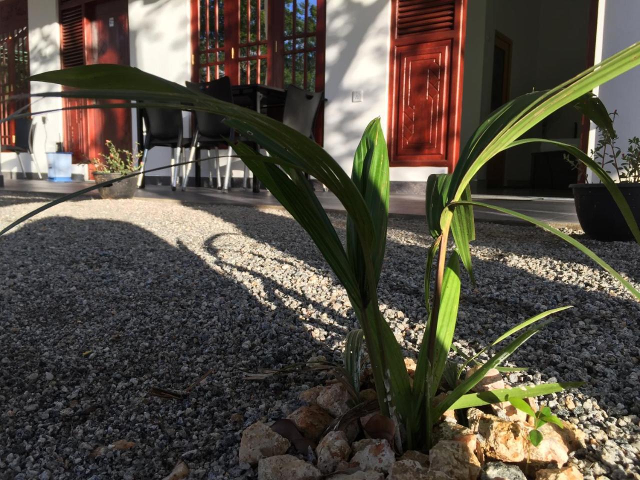 Sigiriya Green Garden Homestay Екстериор снимка